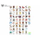 Djeco Állati kereső - kártyajáték