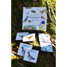 Serenalamb Tavak-folyók élővilága memóriajáték