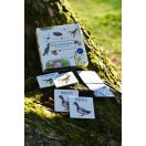 Serenalamb Tavak-folyók élővilága memóriajáték