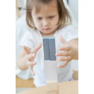 PlanToys Tört-egész építőkocka