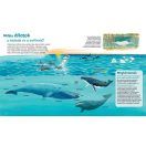 Bálnák és delfinek - Mi micsoda junior 25.