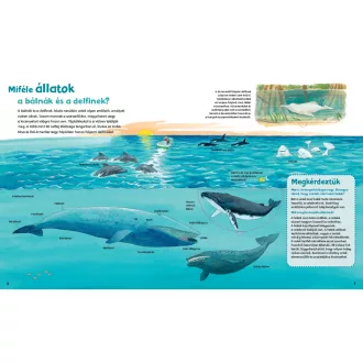 Bálnák és delfinek - Mi micsoda junior 25.