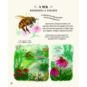   Láss csodát! - 50 természeti jelenség – 50 lenyűgöző történet