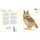 Mister Morrison mágikus állatlexikona