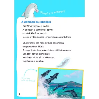   Bálnák és delfinek - Mi Micsoda Olvasó - Matricás szövegfejtő