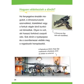 Dinoszauruszok - Mit? Miért? Hogyan? - olvasókönyv kisiskolásoknak