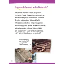 Dinoszauruszok - Mit? Miért? Hogyan? - olvasókönyv kisiskolásoknak