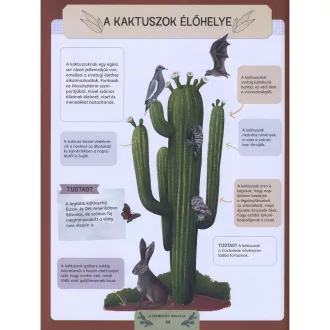 A természet iskolája - Színes ismeretek és izgalmas gyakorlatok a természet iránti érdeklődés felkeltésére óvodás és kisiskolás gyerekeknek