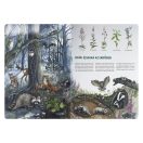 Élet az erdőben - realisztikusan ábrázolt gyerekkönyv óvodásoknak