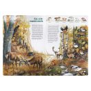 Élet az erdőben - realisztikusan ábrázolt gyerekkönyv óvodásoknak