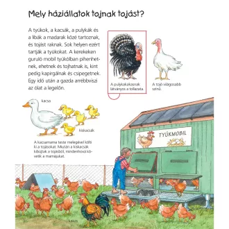 A vidéki élet lexikona - ablakos szakkönyv óvodás gyerekeknek a tanyasi életről
