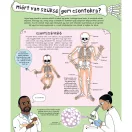 Hogyan működik az emberi test?  - A csontoktól az idegrendszerig, a szervrendszerektől az érzékelésig