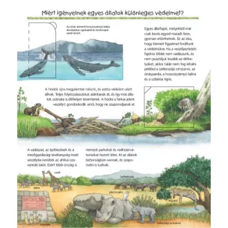 Védjük az állatokat! - Mit? Miért? Hogyan? szakkönyv az állatvédelemről 4-7 éves gyerekeknek
