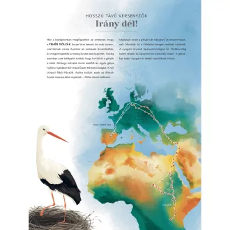 Vad vándorok - Kövesd az állatok kalandos útját!