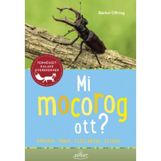 Mi mocorog ott? Rovarok, pókok, százlábúak és ászkák