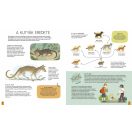 Kutyavilág Fülüktől a farkukig - Tények és sztorik a kutyákról