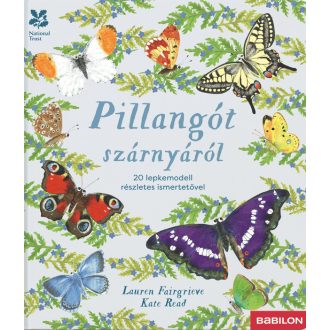   Pillangót szárnyáról – 20 lepkemodell részletes ismertetővel