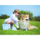 Bigjigs Toys - Állatorvosi készlet - JátékManufaktúra