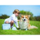 Bigjigs Toys - Állatorvosi készlet - JátékManufaktúra