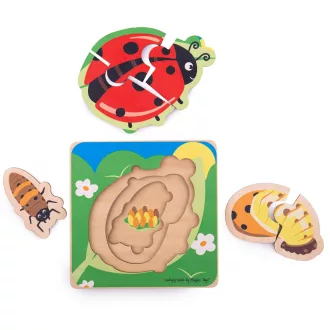 Bigjigs Toys - Beillesztős puzzle, Katicabogár életciklusa - JátékManufaktúra