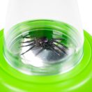 Bigjigs Toys - Nagyítós rovarfigyelő - JátékManufaktúra