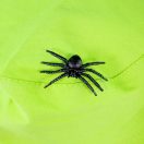 Bigjigs Toys - Rovarfigyelő készlet - JátékManufaktúra