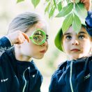 Bigjigs Toys - Rovarfigyelő készlet - JátékManufaktúra