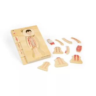 Bigjigs Toys - Fa puzzle, Fiú anatómia - JátékManufaktúra