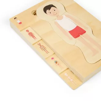 Bigjigs Toys - Fa puzzle, Fiú anatómia - JátékManufaktúra