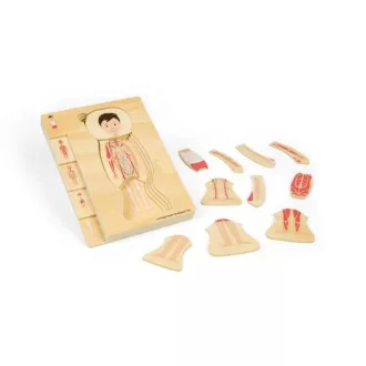 Bigjigs Toys - Fa puzzle, Fiú anatómia - JátékManufaktúra