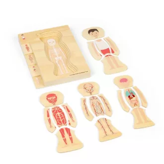 Bigjigs Toys - Fa puzzle, Fiú anatómia - JátékManufaktúra