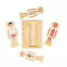 Bigjigs Toys - Fa puzzle, Fiú anatómia - JátékManufaktúra