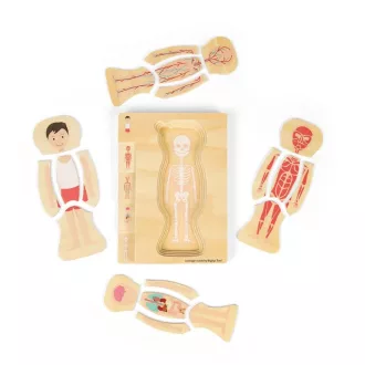 Bigjigs Toys - Fa puzzle, Fiú anatómia - JátékManufaktúra