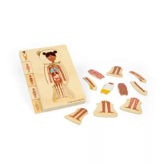 Bigjigs Toys - Fa puzzle, Lány anatómia - JátékManufaktúra