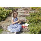 Bigjigs - Uzsonnás doboz - JátékManufaktúra