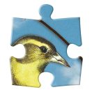 Galison - Kétoldalas puzzle - Madárszimfónia - 250 darabos - JátékManufaktúra