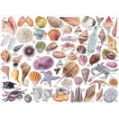 Galison - Tengerparti lustálkodás kézikönyve puzzle - 1000 darabos - JátékManufaktúra