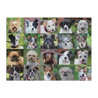 Galison - Tészták - 1000 darabos puzzle - JátékManufaktúra