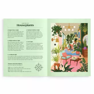 Galison - Puzzle: Szobanövények és fényigényük (500 db) - JátékManufaktúra