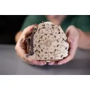 EscapeWelt - Fa logikai játék Feketeszakáll iránytűje - JátékManufaktúra