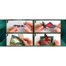 EscapeWelt - 3D fa puzzle Pillangó - JátékManufaktúra