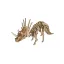 Woodcraft Drevené 3D puzzle Triceratops