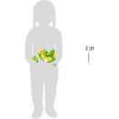 Small Foot - Egyensúlyozó motorikus játék - Béka - JátékManufaktúra