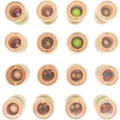 Small Foot - Hangos memóriajáték - Hernyó - JátékManufaktúra