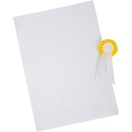 Small Foot - Lóápoló készlet táskával - JátékManufaktúra