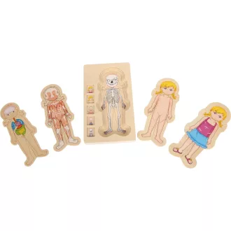 Small Foot - Fa puzzle - Anatómia - JátékManufaktúra