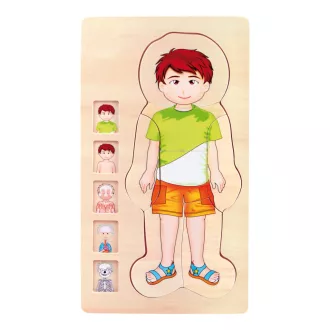 Small Foot - Fa puzzle - Anatómia - Tim - JátékManufaktúra