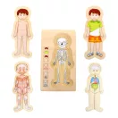 Small Foot - Fa puzzle - Anatómia - Tim - JátékManufaktúra