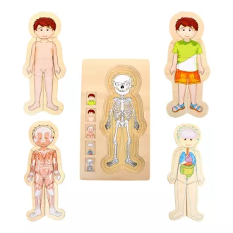 Small Foot - Fa puzzle - Anatómia - Tim - JátékManufaktúra