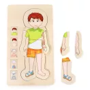 Small Foot - Fa puzzle - Anatómia - Tim - JátékManufaktúra